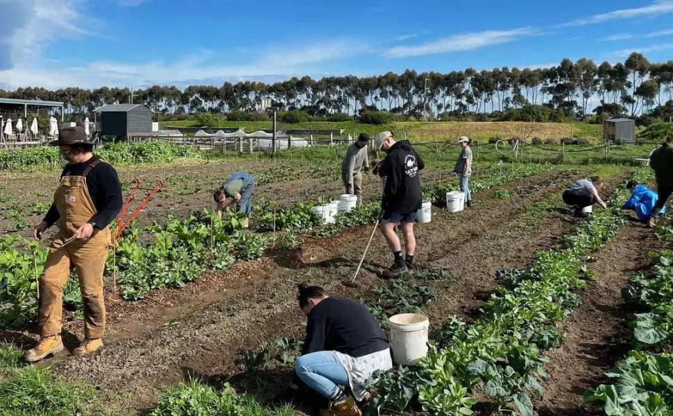 Common Ground Project Food Hub - VicHealth